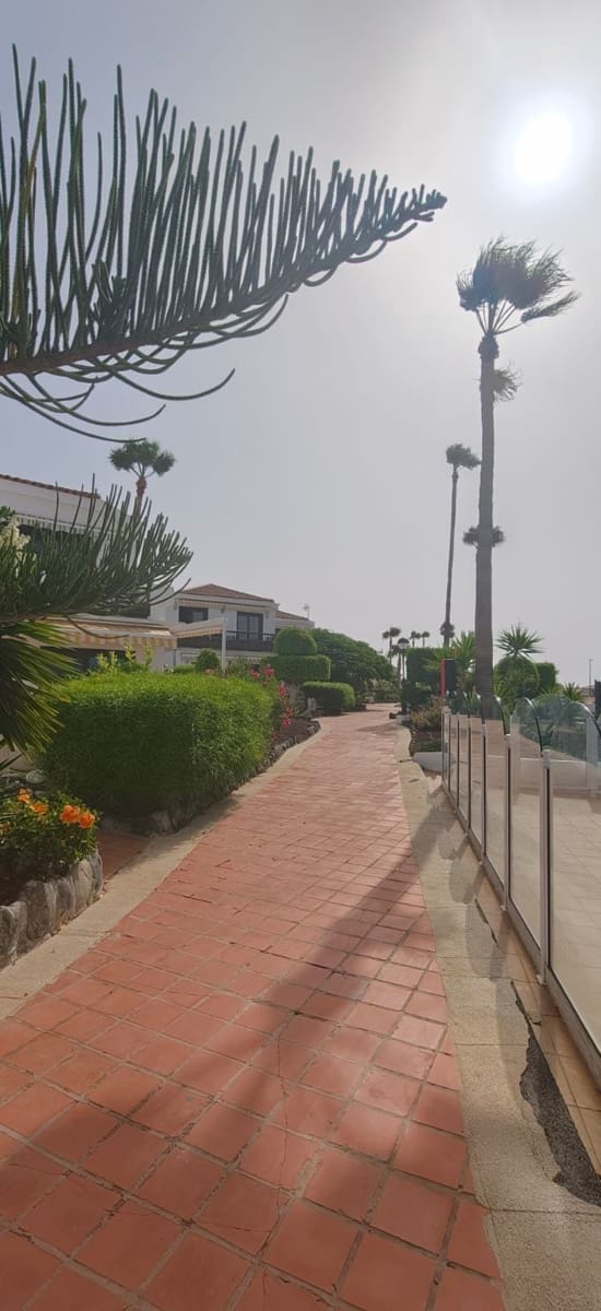 1 bedroom Apartment for rent in Amarilla Golf with pool - € 1,000 (Ref: 9974707)
