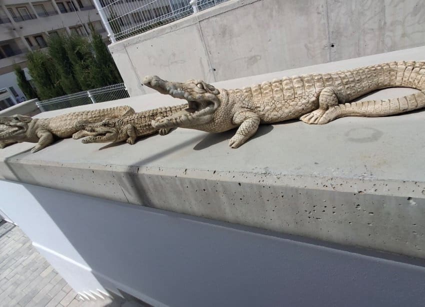 3 soveværelse Villa til salg i Orihuela med swimmingpool - € 515.000 (Ref: 9798170)