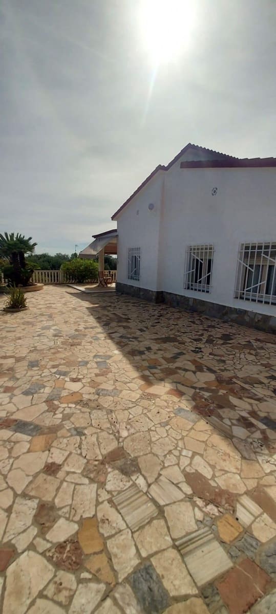 5 chambre Villa/Maison à vendre à Elche / Elx avec piscine - 300 000 € (Ref: 9422412)