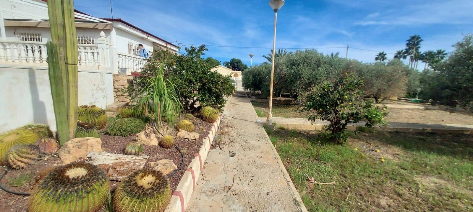 5 chambre Villa/Maison à vendre à Elche / Elx avec piscine - 300 000 € (Ref: 9422412)