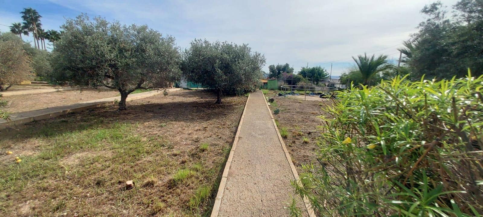 5 chambre Villa/Maison à vendre à Elche / Elx avec piscine - 300 000 € (Ref: 9422412)