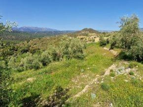 Grunde uden byggetilladelser til salg i Jayena - € 93.000 (Ref: 10005785)