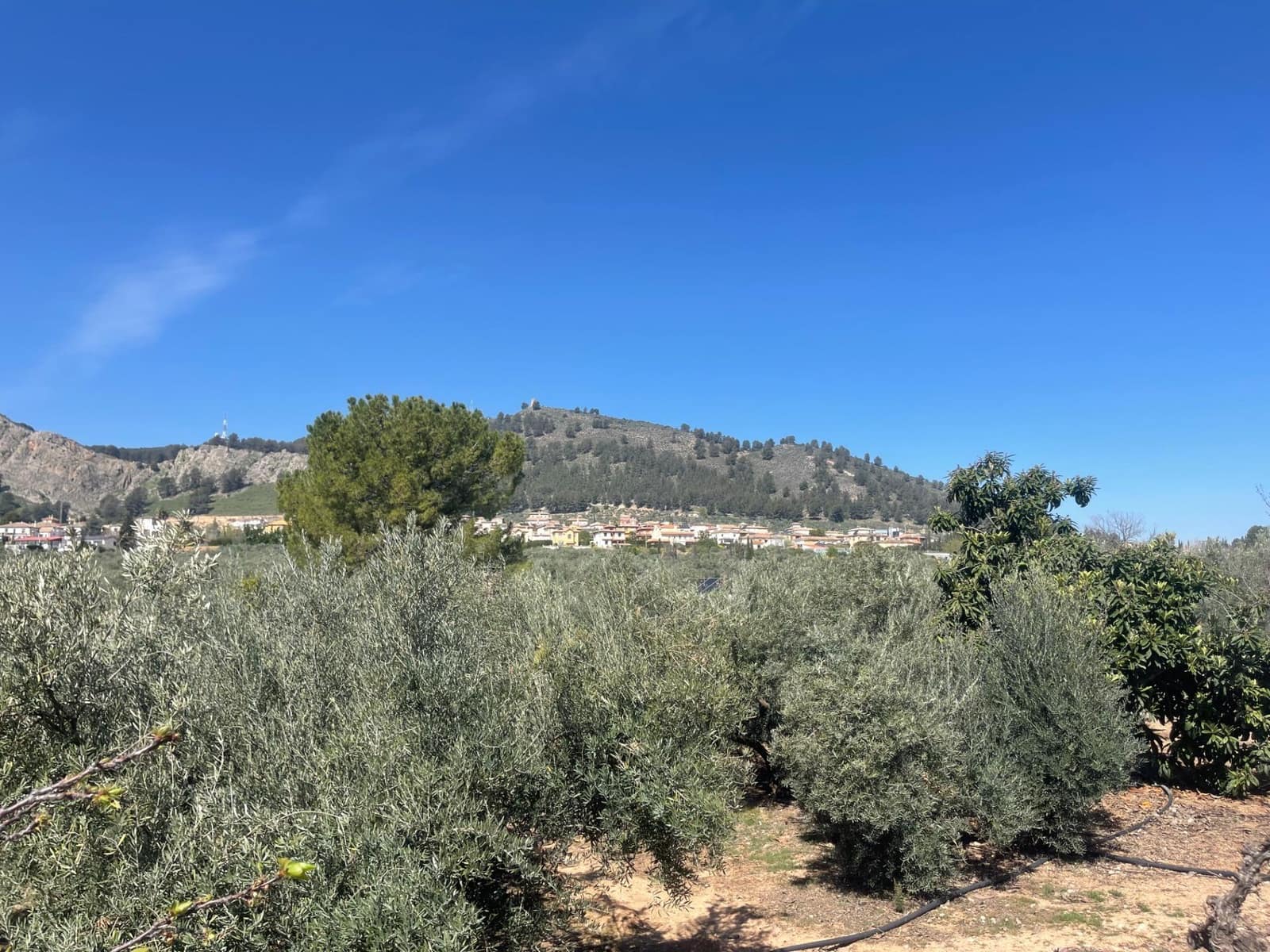 2 quarto Quinta/Casa Rural para venda em Albolote com piscina - 179 900 € (Ref: 10043199)