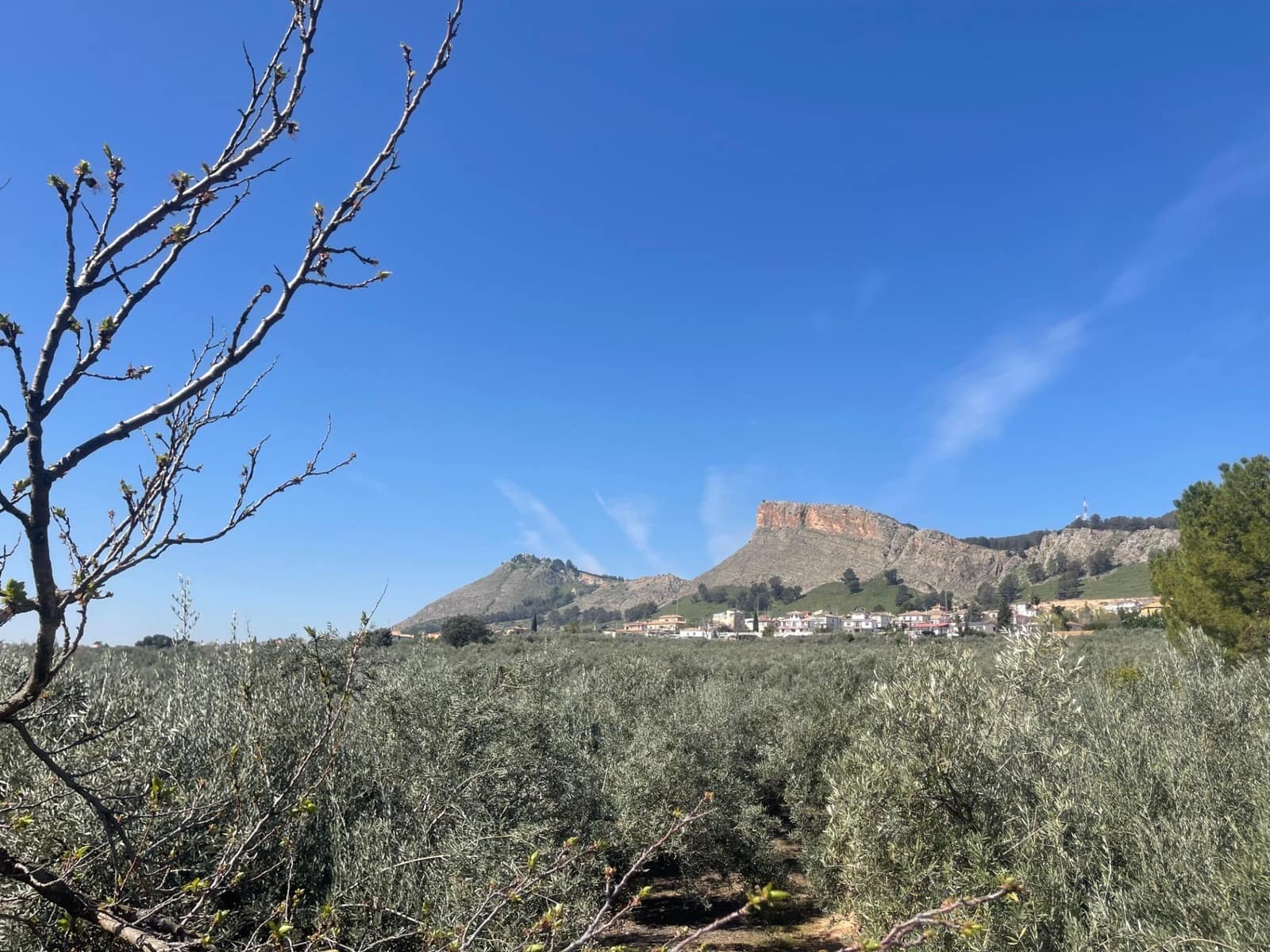 2 quarto Quinta/Casa Rural para venda em Albolote com piscina - 179 900 € (Ref: 10043199)