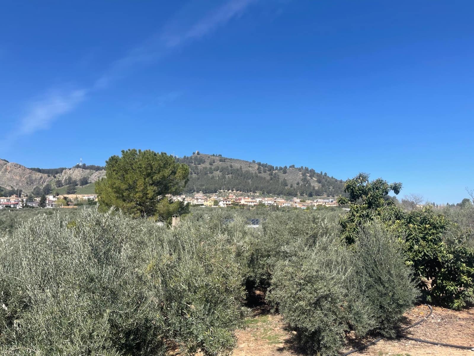 2 quarto Quinta/Casa Rural para venda em Albolote com piscina - 179 900 € (Ref: 10043199)