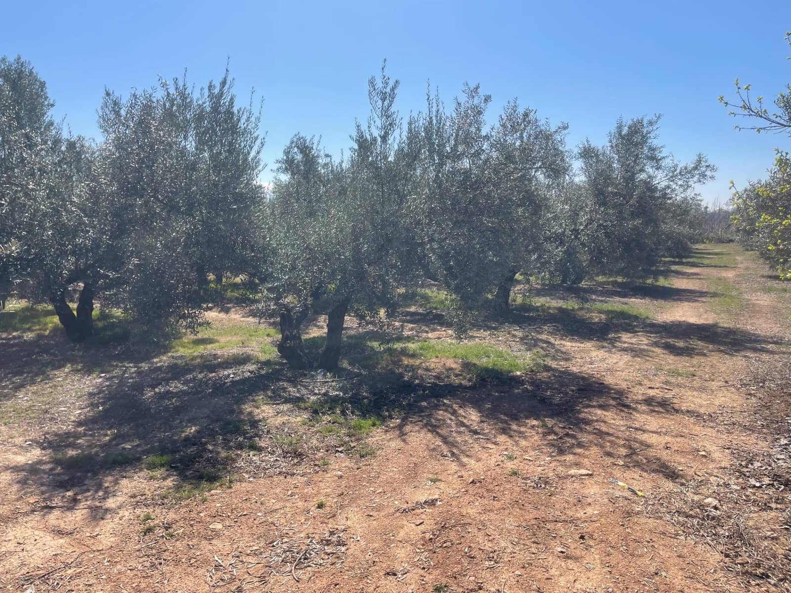 2 quarto Quinta/Casa Rural para venda em Albolote com piscina - 179 900 € (Ref: 10043199)