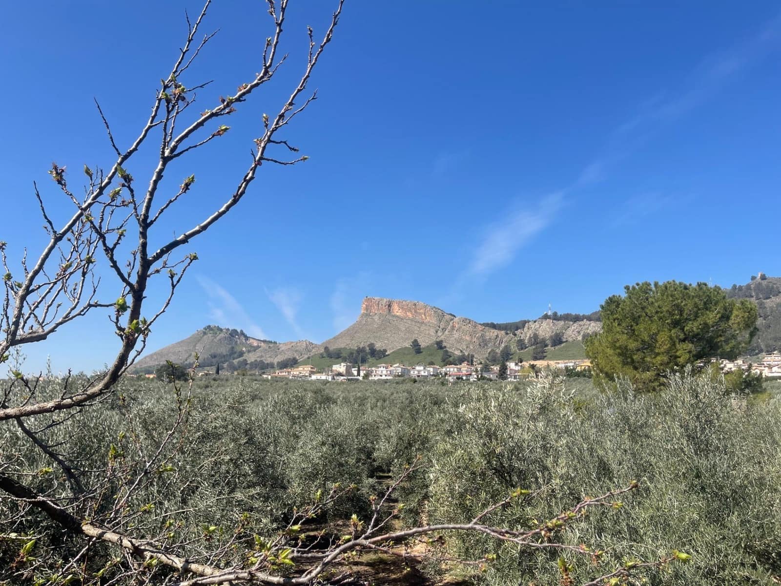 2 quarto Quinta/Casa Rural para venda em Albolote com piscina - 179 900 € (Ref: 10043199)