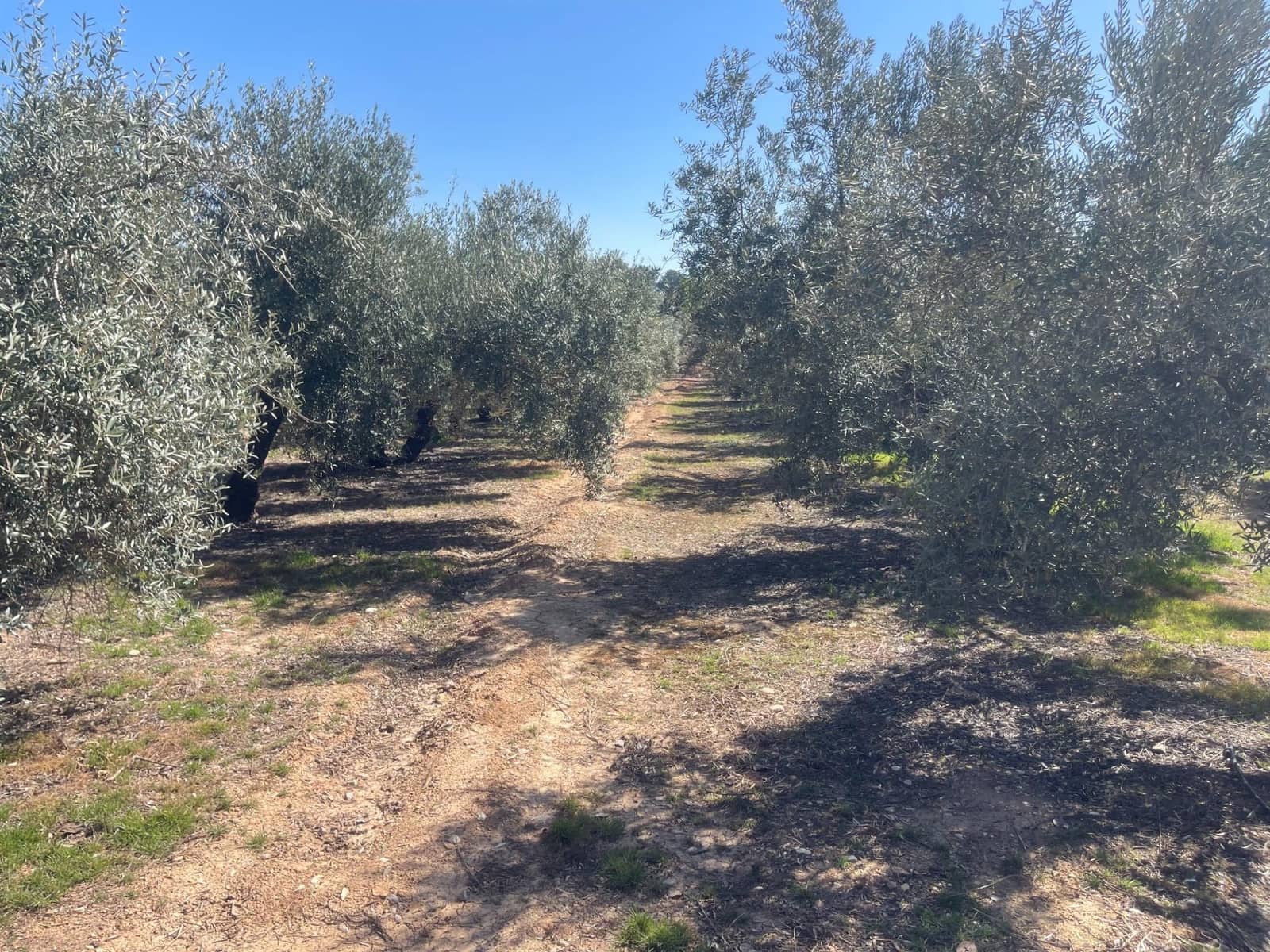 2 quarto Quinta/Casa Rural para venda em Albolote com piscina - 179 900 € (Ref: 10043199)