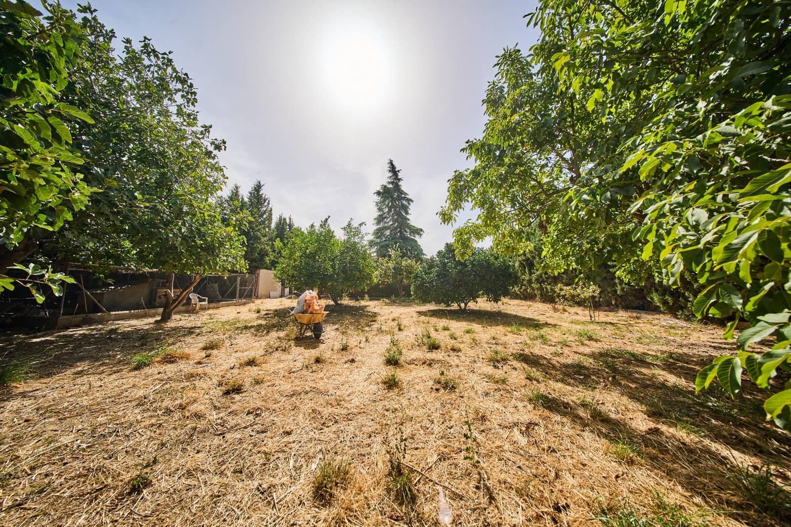 5 bedroom Finca/Country House for sale in Alhendin - € 350,000 (Ref: 10047519)
