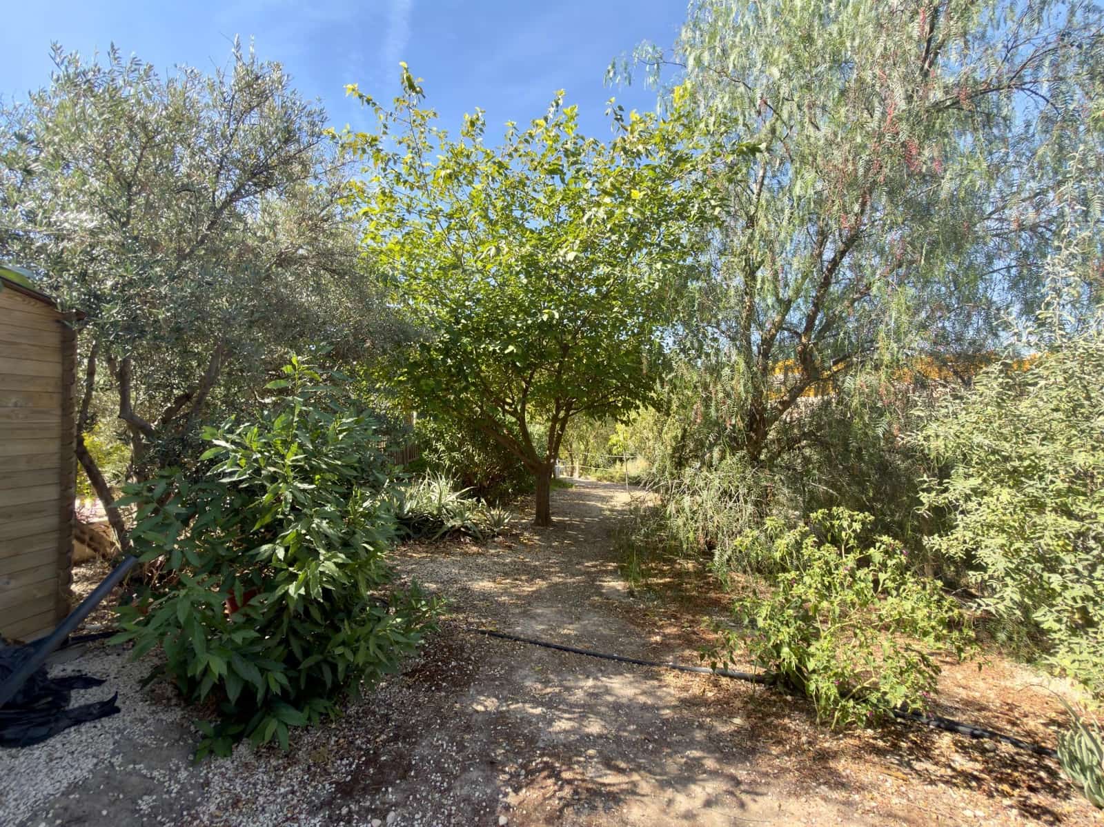 6 slaapkamer Finca/Landhuis te koop in Moraleda de Zafayona met zwembad garage - € 450.000 (Ref: 10120135)