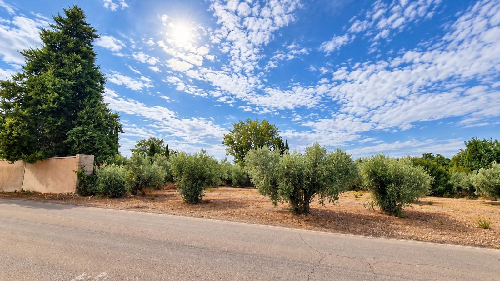 Undeveloped Land for sale in Moraleda de Zafayona - € 105,000 (Ref: 10130108)