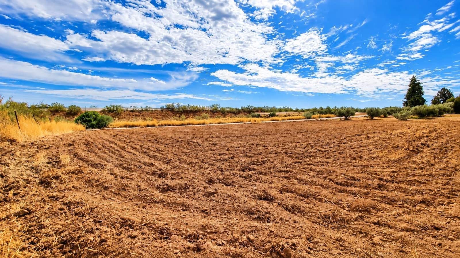 Undeveloped Land for sale in Moraleda de Zafayona - € 105,000 (Ref: 10130108)