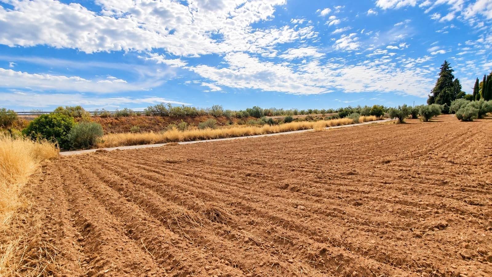 Undeveloped Land for sale in Moraleda de Zafayona - € 105,000 (Ref: 10130108)