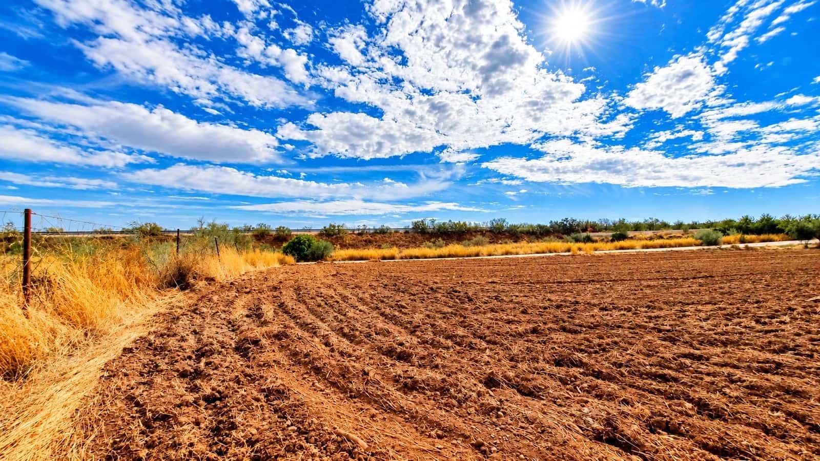 Undeveloped Land for sale in Moraleda de Zafayona - € 105,000 (Ref: 10130108)