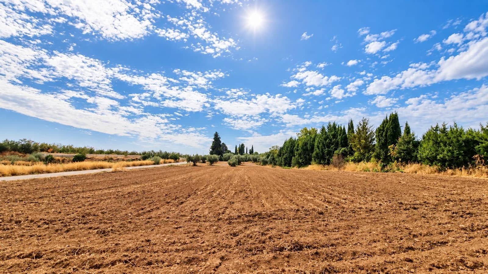 Undeveloped Land for sale in Moraleda de Zafayona - € 105,000 (Ref: 10130108)