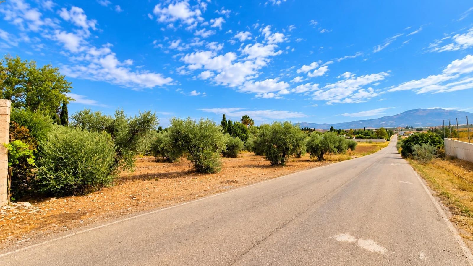 Undeveloped Land for sale in Moraleda de Zafayona - € 105,000 (Ref: 10130108)