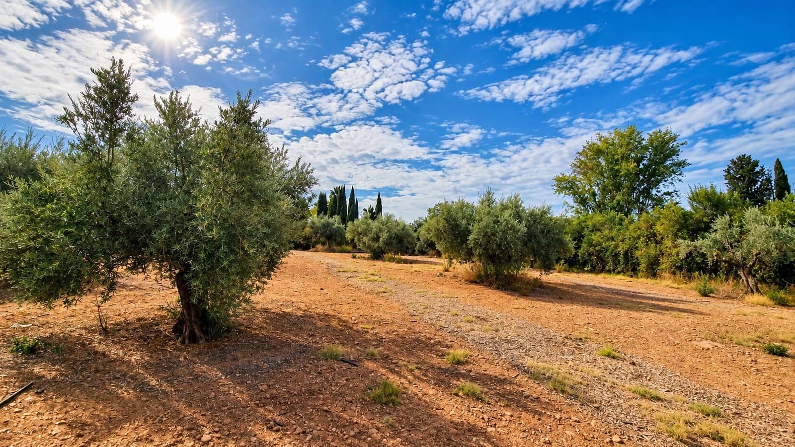 Undeveloped Land for sale in Moraleda de Zafayona - € 105,000 (Ref: 10130108)