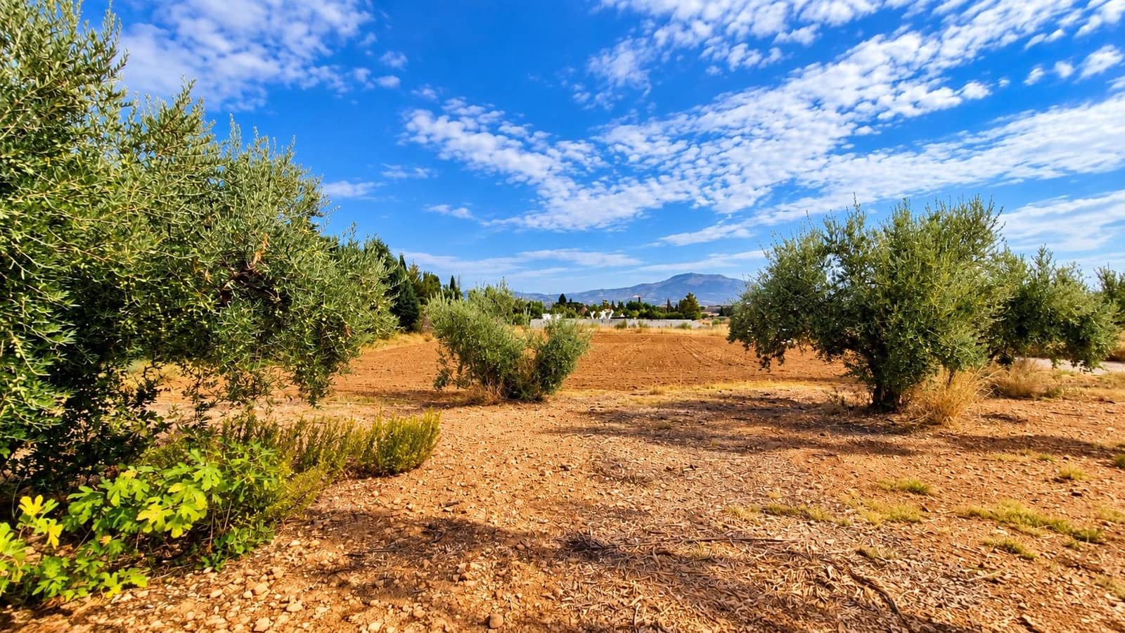 Undeveloped Land for sale in Moraleda de Zafayona - € 105,000 (Ref: 10130108)