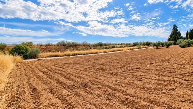 Terreno Non Edificato in vendita in Moraleda de Zafayona - 105.000 € (Rif: 10130108)