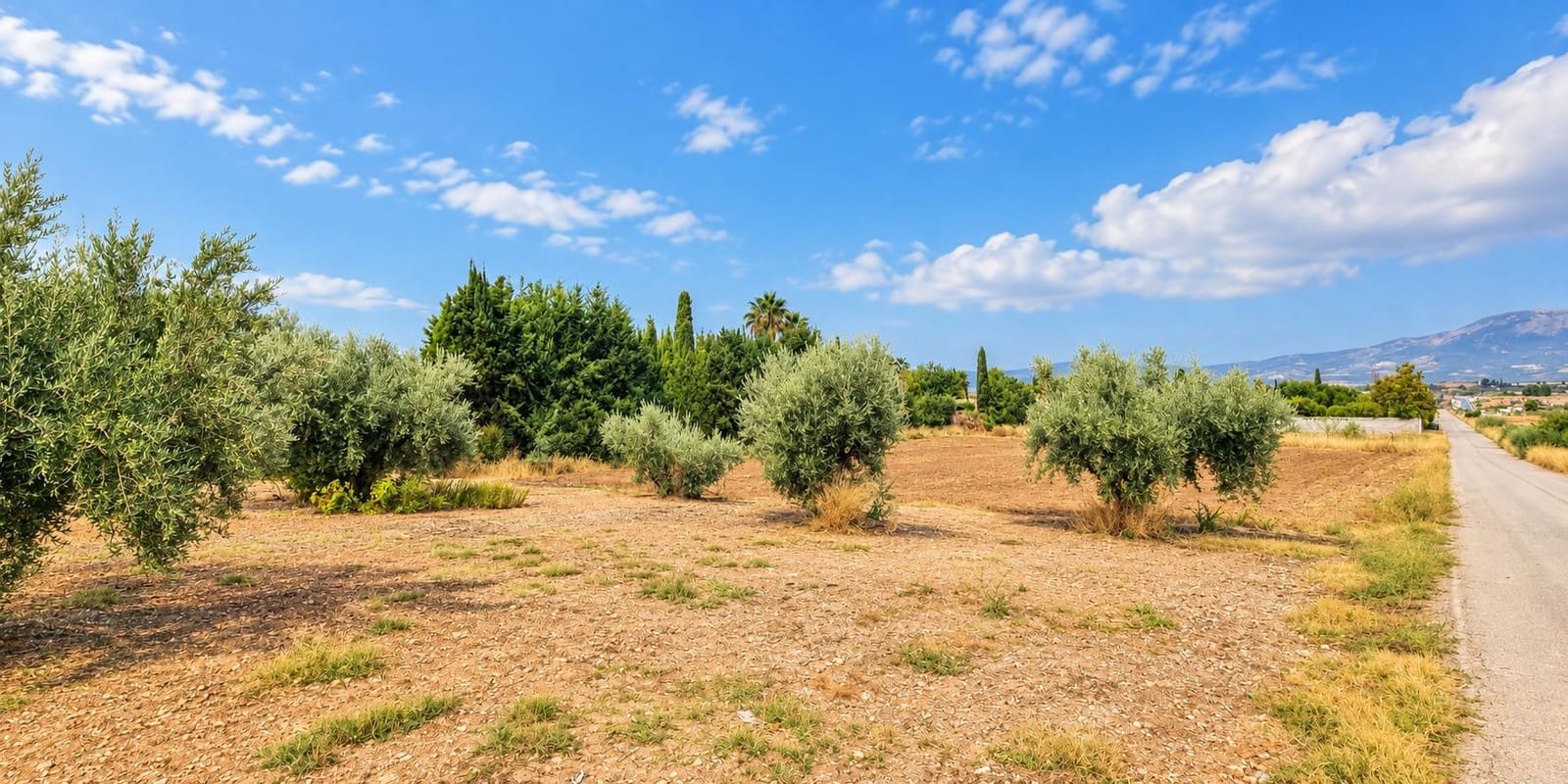 Undeveloped Land for sale in Moraleda de Zafayona - € 105,000 (Ref: 10130108)
