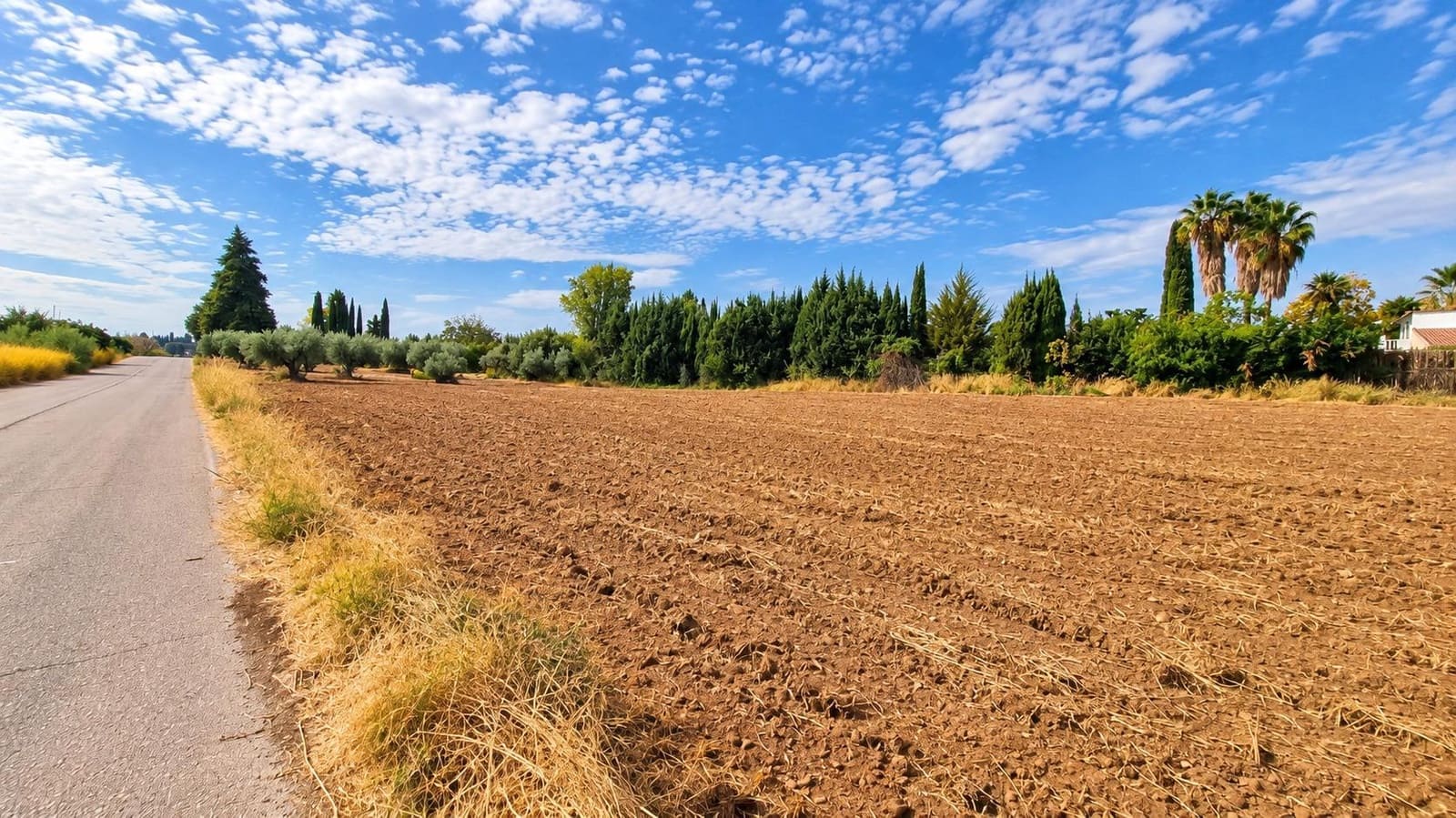 Undeveloped Land for sale in Moraleda de Zafayona - € 105,000 (Ref: 10130108)
