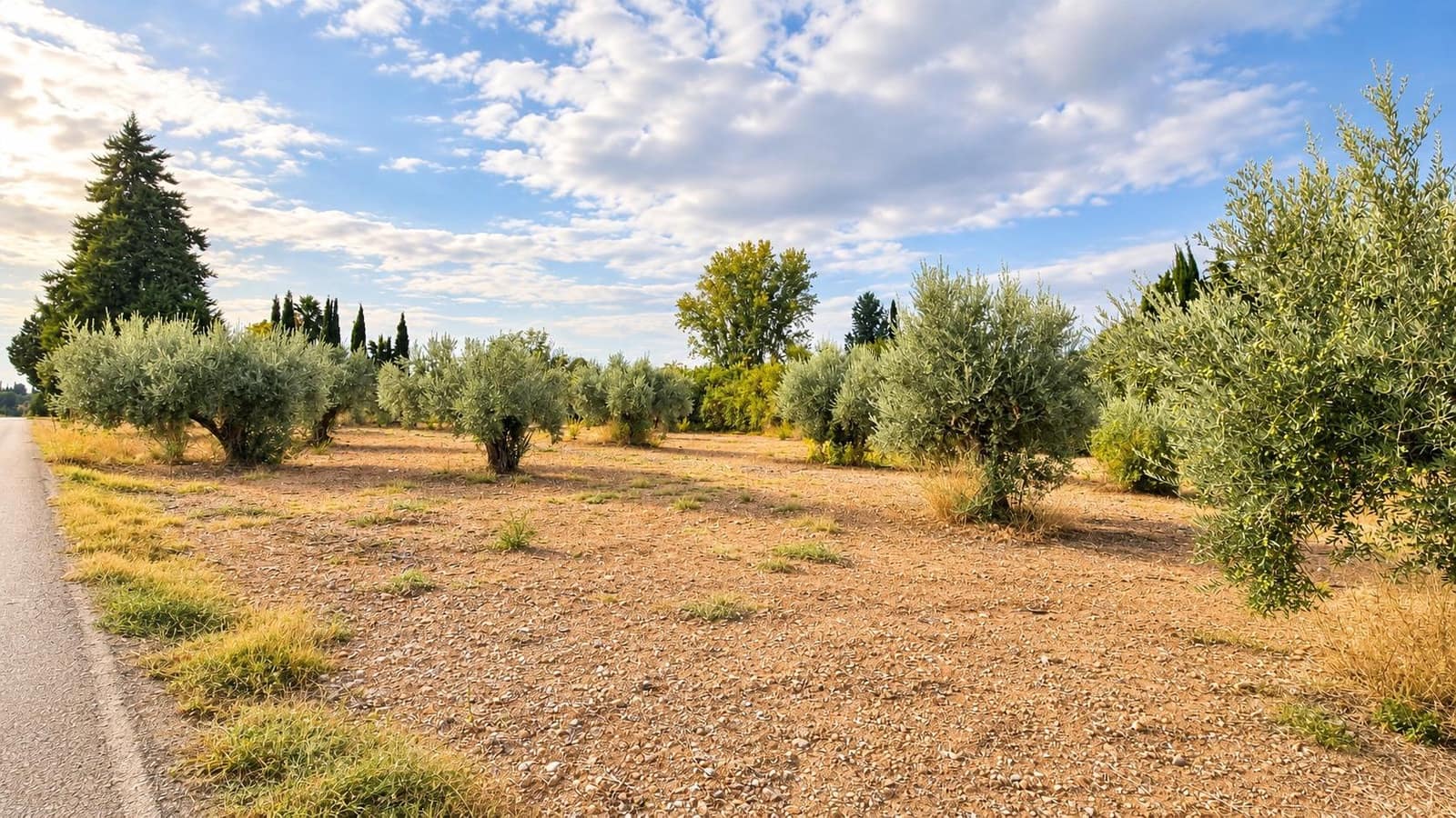 Undeveloped Land for sale in Moraleda de Zafayona - € 105,000 (Ref: 10130108)