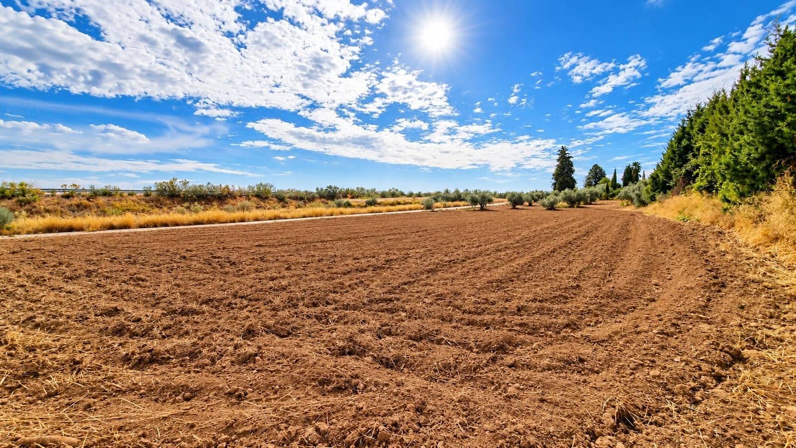 Undeveloped Land for sale in Moraleda de Zafayona - € 105,000 (Ref: 10130108)