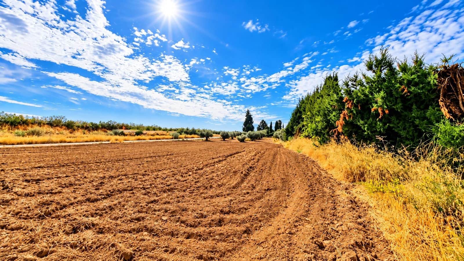 Undeveloped Land for sale in Moraleda de Zafayona - € 105,000 (Ref: 10130108)
