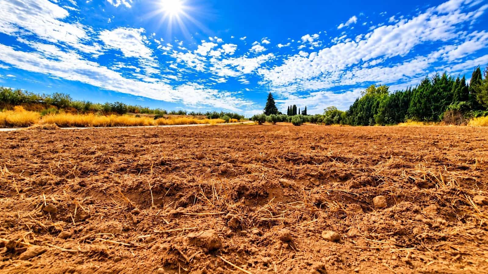 Undeveloped Land for sale in Moraleda de Zafayona - € 105,000 (Ref: 10130108)