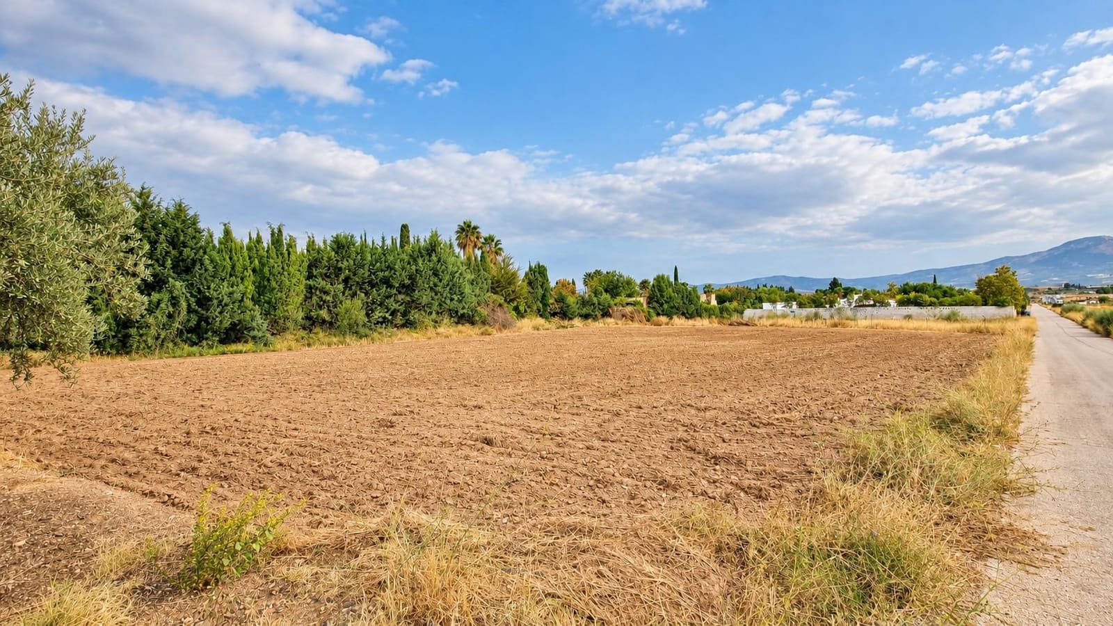 Undeveloped Land for sale in Moraleda de Zafayona - € 105,000 (Ref: 10130108)