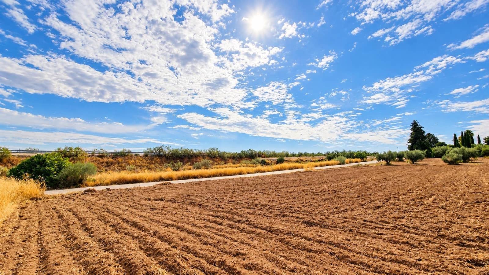 Undeveloped Land for sale in Moraleda de Zafayona - € 105,000 (Ref: 10130108)