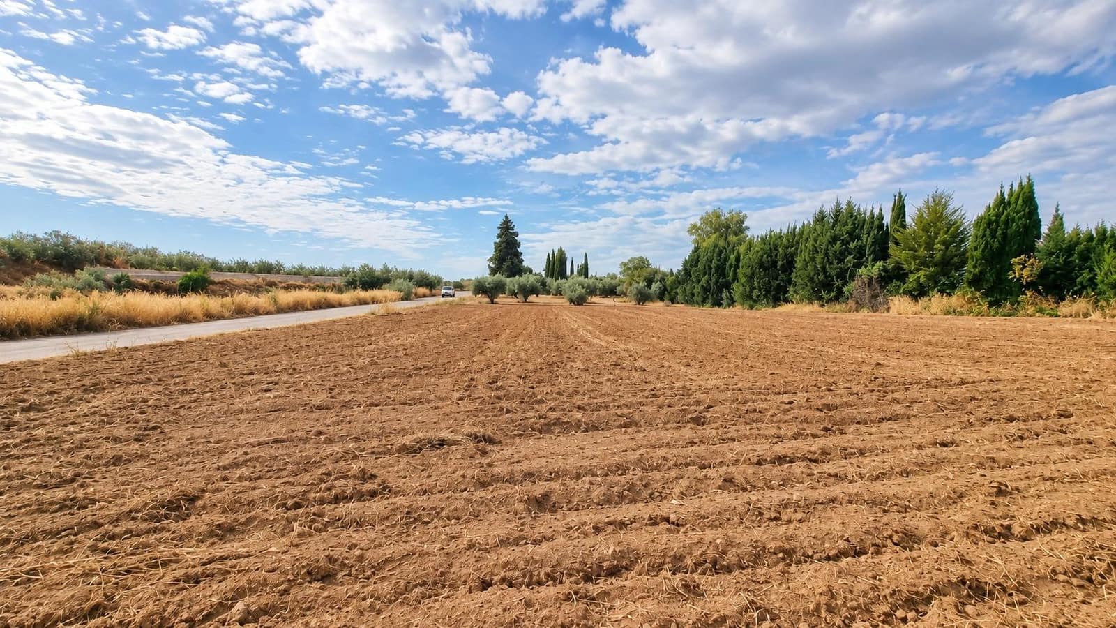 Undeveloped Land for sale in Moraleda de Zafayona - € 105,000 (Ref: 10130108)