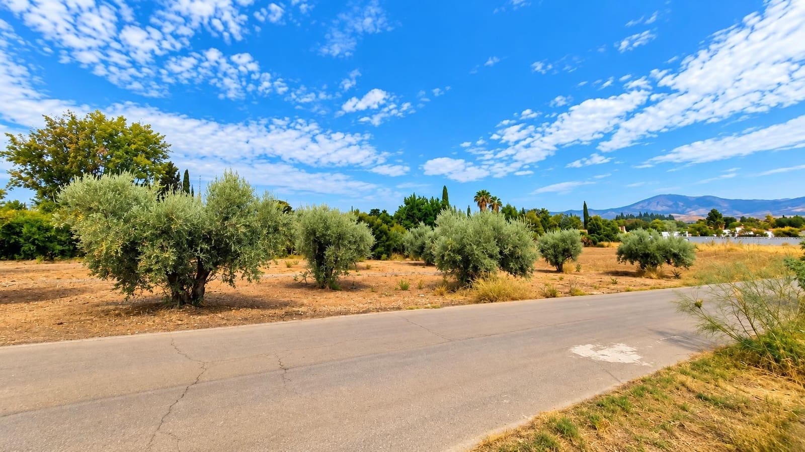 Undeveloped Land for sale in Moraleda de Zafayona - € 105,000 (Ref: 10130108)