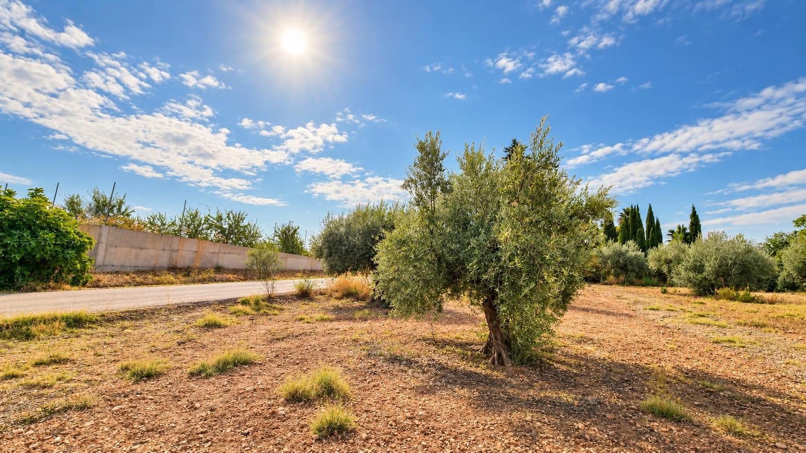 Undeveloped Land for sale in Moraleda de Zafayona - € 105,000 (Ref: 10130108)