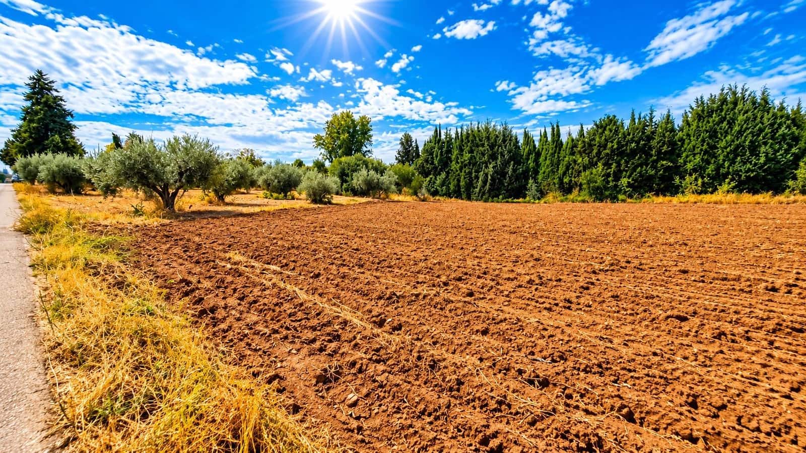 Undeveloped Land for sale in Moraleda de Zafayona - € 105,000 (Ref: 10130108)