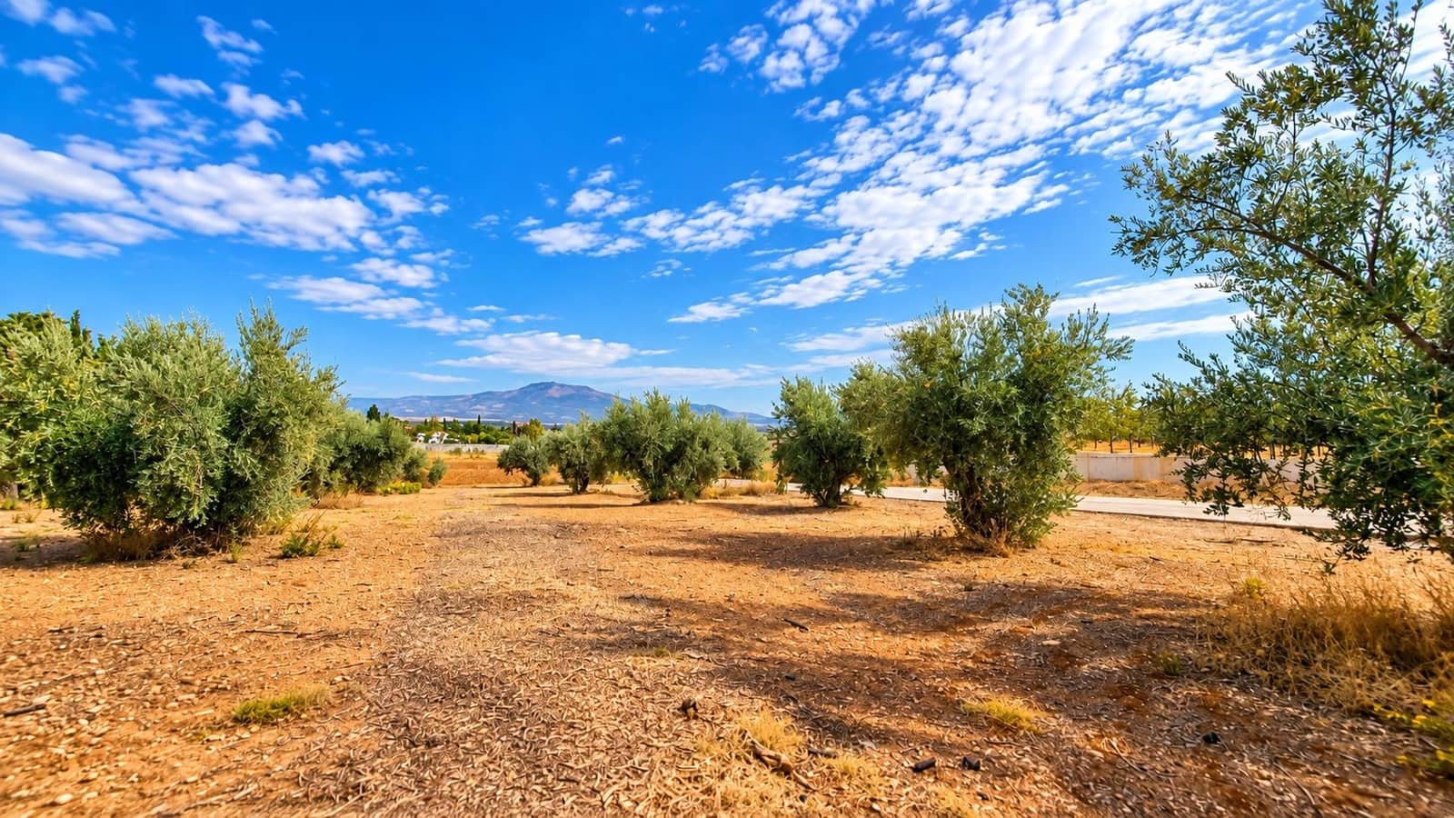 Undeveloped Land for sale in Moraleda de Zafayona - € 105,000 (Ref: 10130108)