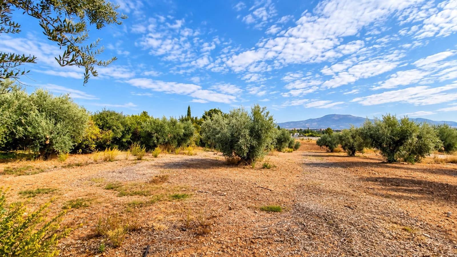Undeveloped Land for sale in Moraleda de Zafayona - € 105,000 (Ref: 10130108)