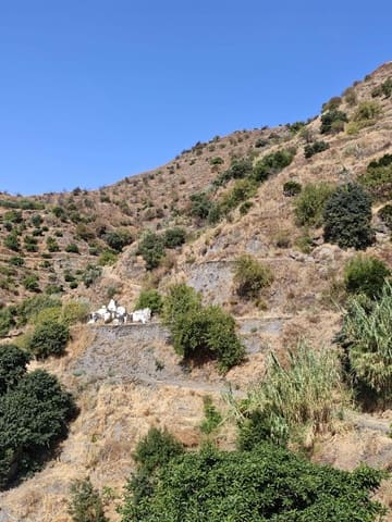 Terreno Não Urbanizado para venda em Almuñécar - 38 000 € (Ref: 10130109)