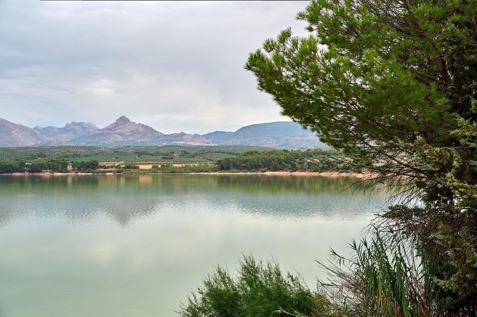 4 bedroom Villa for sale in Atarfe with pool garage - € 550,000 (Ref: 10155447)