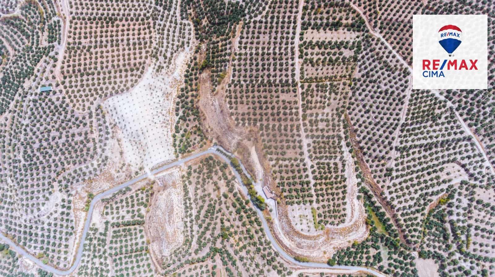 3 bedroom Cave House for sale in Cuevas del Campo - € 129,000 (Ref: 8574364)