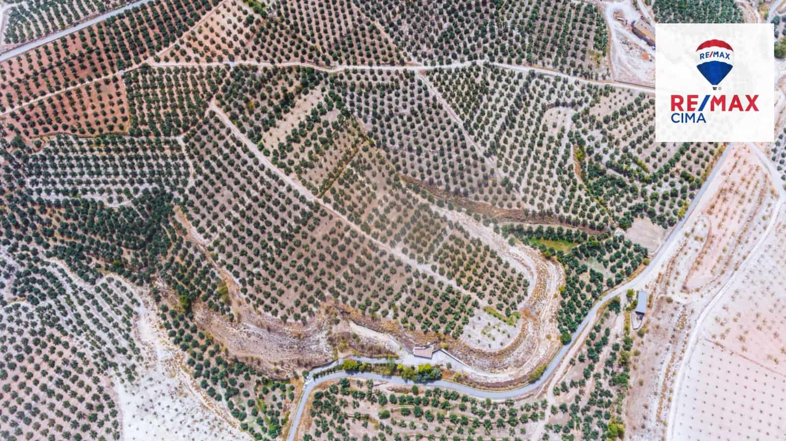 3 bedroom Cave House for sale in Cuevas del Campo - € 129,000 (Ref: 8574364)