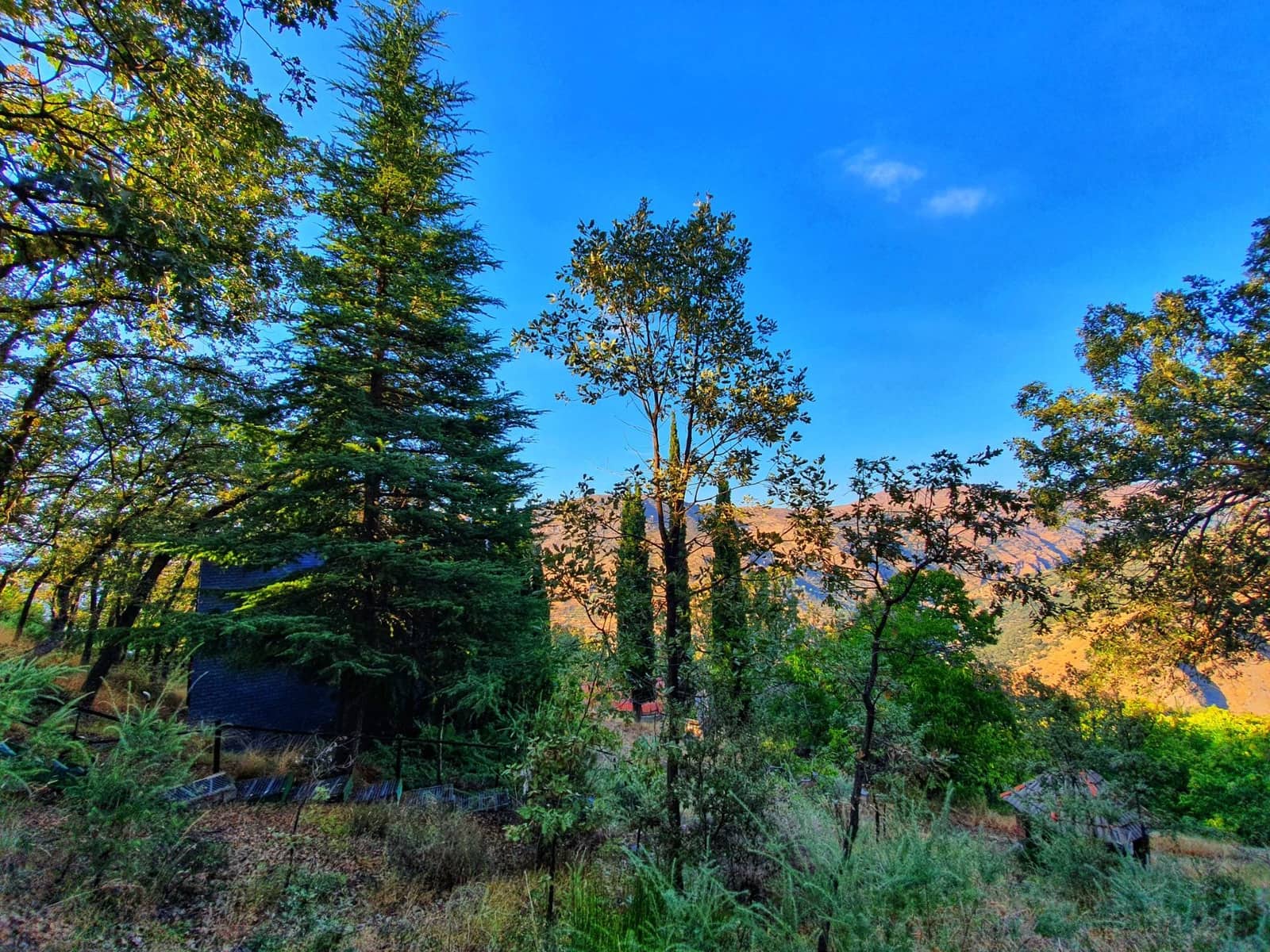 Chalet de 3 habitaciones en Güéjar Sierra en venta con piscina garaje - 395.000 € (Ref: 8574366)