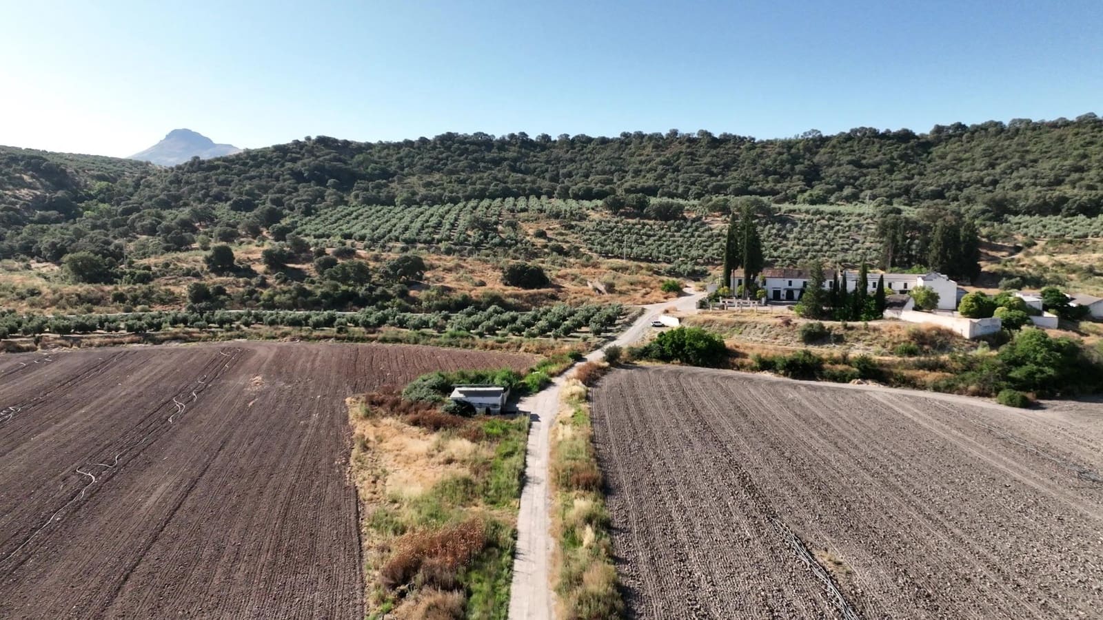 24 chambre Finca/Maison de Campagne à vendre à Albolote avec garage - 1 200 000 € (Ref: 8574369)