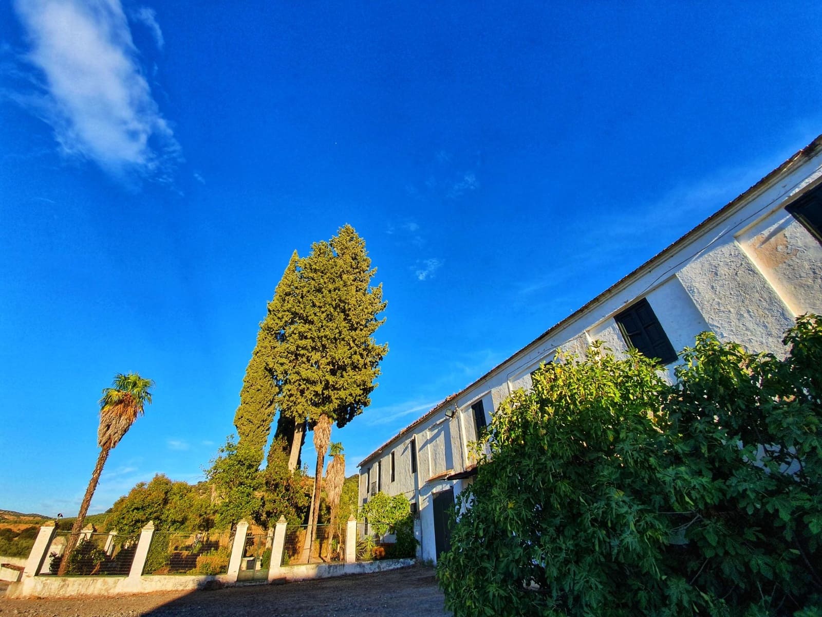 24 chambre Finca/Maison de Campagne à vendre à Albolote avec garage - 1 200 000 € (Ref: 8574369)