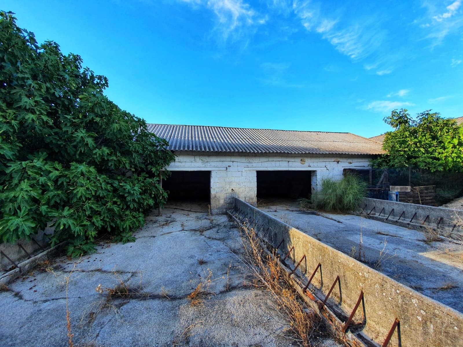 24 soveværelse Finca/Landehus til salg i Albolote med garage - € 1.200.000 (Ref: 8574369)