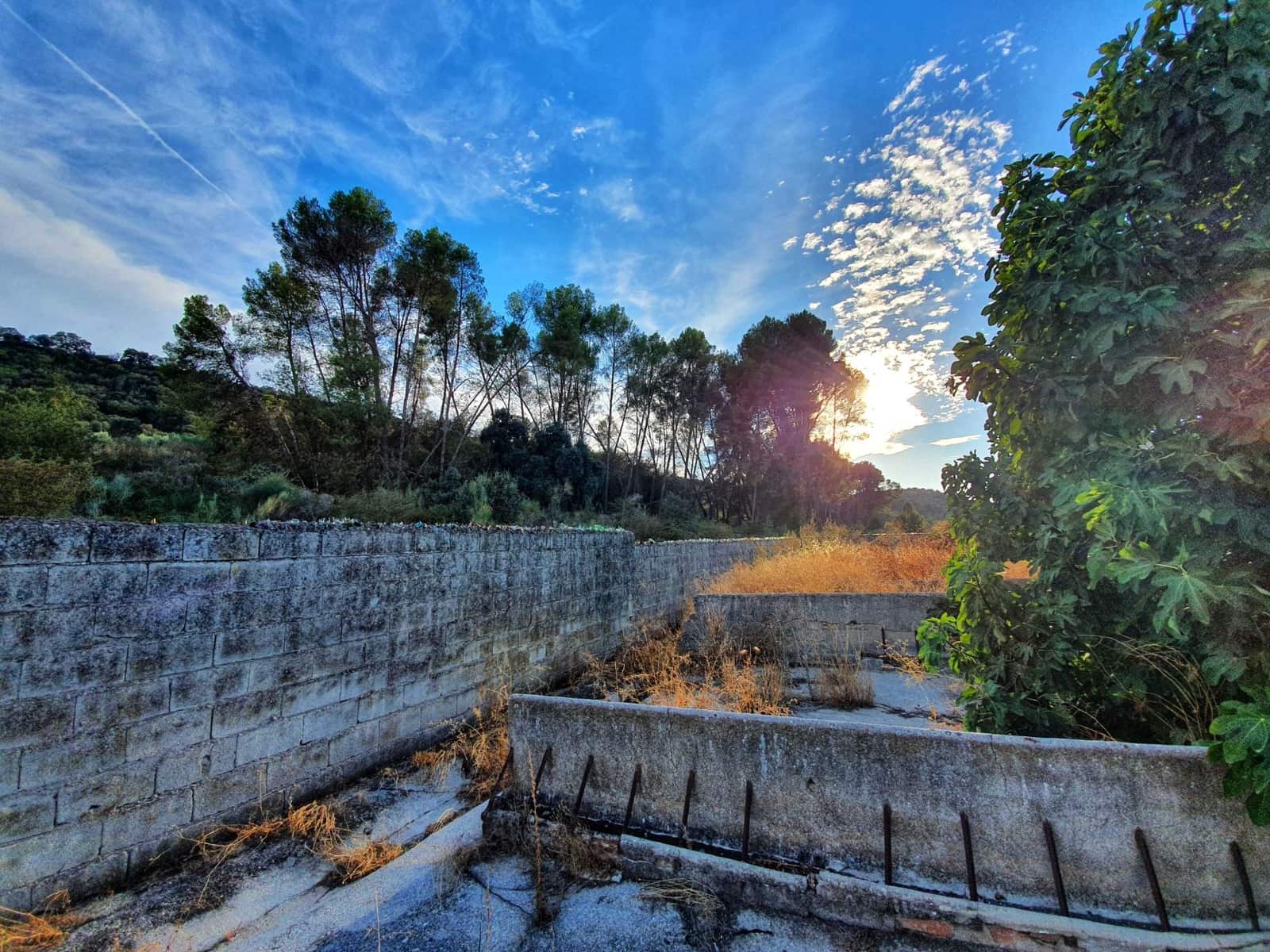 24 soveværelse Finca/Landehus til salg i Albolote med garage - € 1.200.000 (Ref: 8574369)