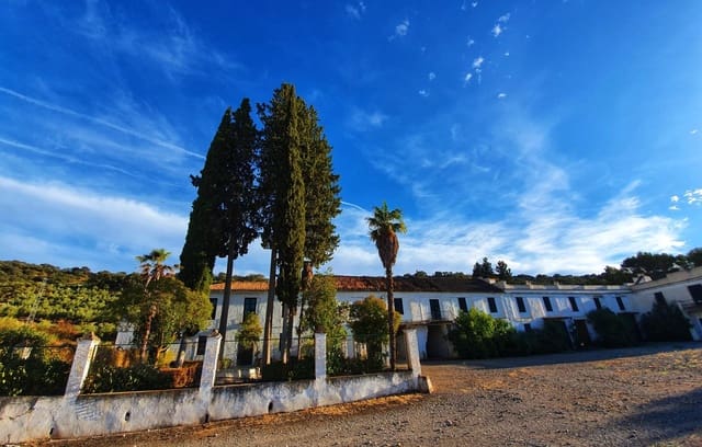 24 Zimmer Finca/Landgut zu verkaufen in Albolote mit Garage - 1.190.000 € (Ref: 8574369)