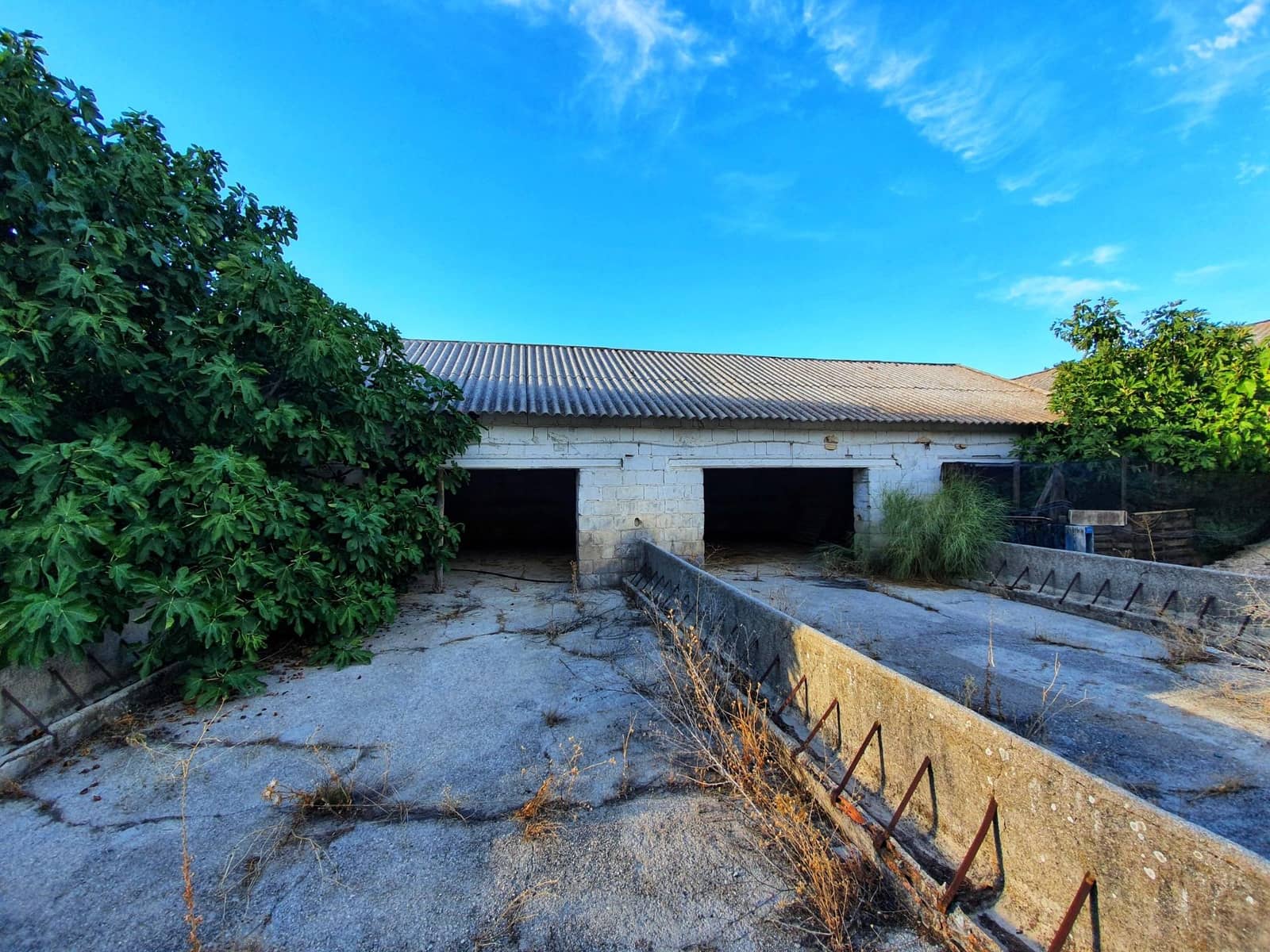 24 Zimmer Finca/Landgut zu verkaufen in Albolote mit Garage - 1.190.000 € (Ref: 8574369)