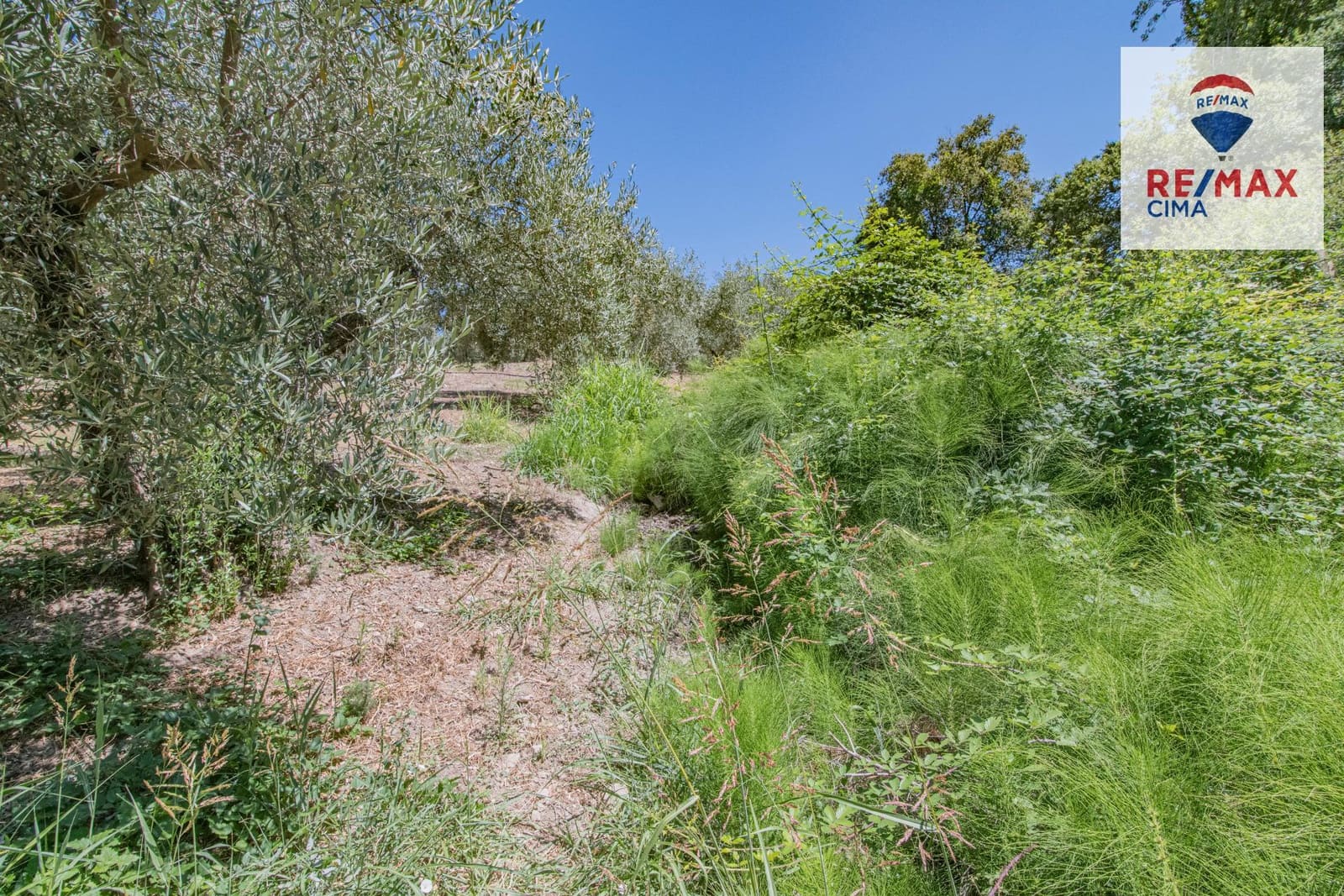 Terreno Non Edificato in vendita in La Iruela - 900.000 € (Rif: 8574371)