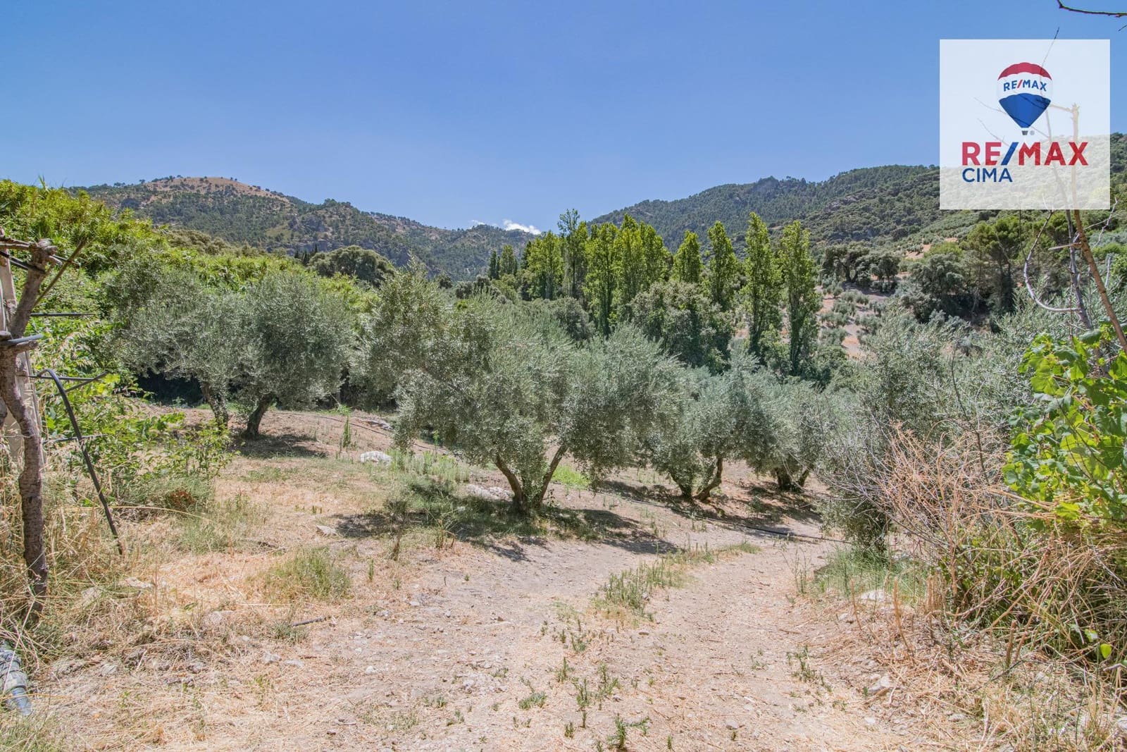 Terreno Non Edificato in vendita in La Iruela - 900.000 € (Rif: 8574371)